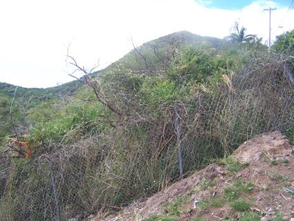 Image No.5-Land for sale