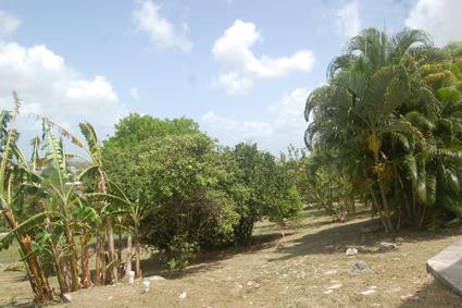 Image No.28-5 Bed House/Villa for sale