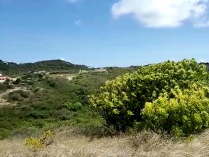 Image No.5-Land for sale