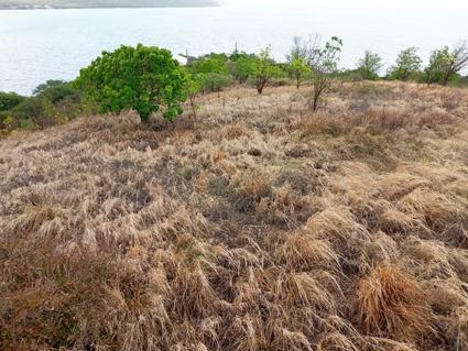 Image No.13-Land for sale