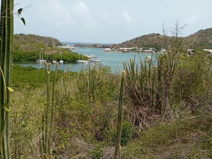 Image No.2-Land for sale