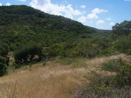 Image No.10-Land for sale