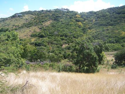 Image No.11-Land for sale