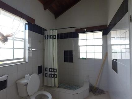 Image No.25-4 Bed Mansion for sale