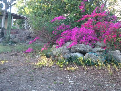 Image No.2-2 Bed Country Property for sale