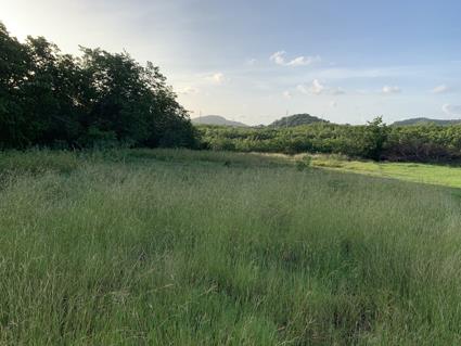 Image No.11-Land for sale