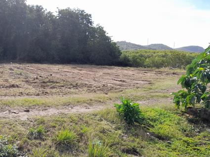 Image No.6-Land for sale