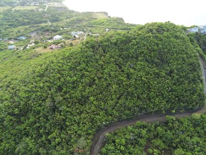 Image No.11-Land for sale