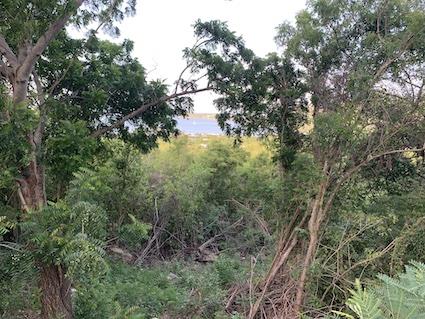 Image No.9-Land for sale