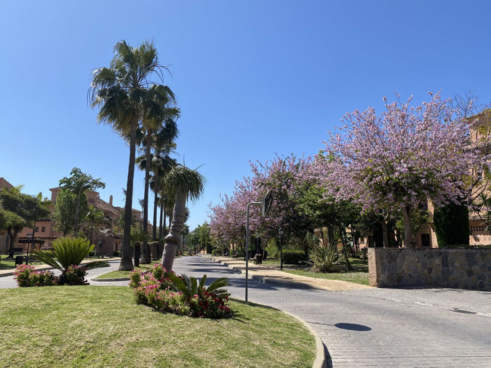 Image No.27-3 Bed Apartment for sale