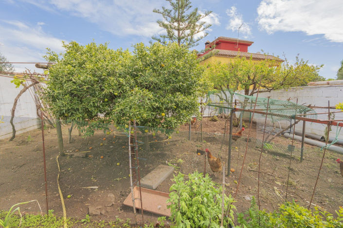 Image No.15-3 Bed Villa for sale