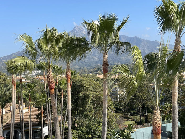 Image No.2-2 Bed Penthouse for sale