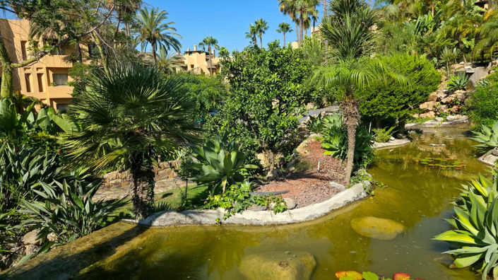 Image No.30-2 Bed Penthouse for sale