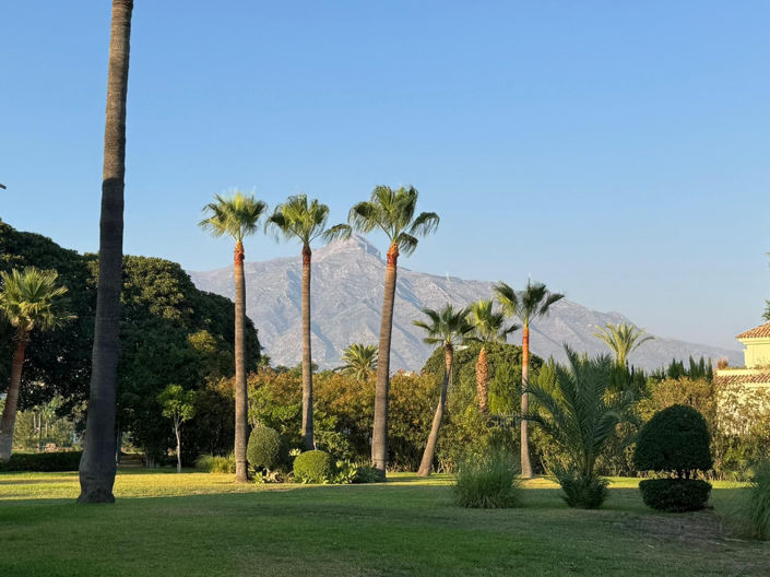 Image No.43-2 Bed Duplex for sale