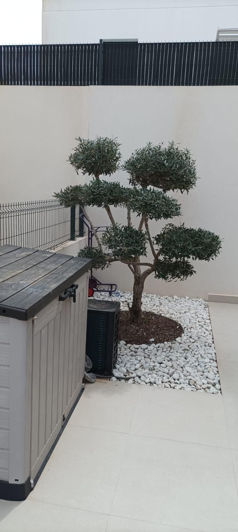 Image No.23-5 Bed Villa for sale