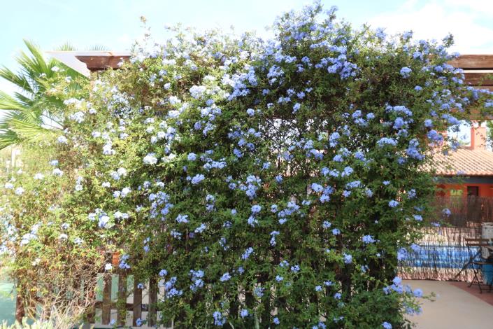 Image No.28-3 Bed House/Villa for sale