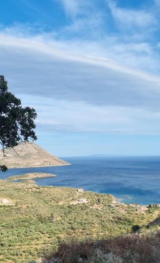 Image No.19-4 Bed House for sale