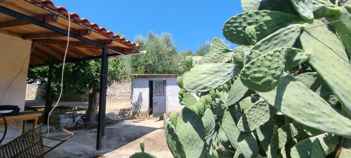 Image No.13-2 Bed House for sale