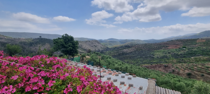 Image No.3-2 Bed House for sale