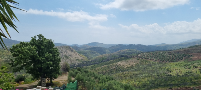 Image No.8-2 Bed House for sale