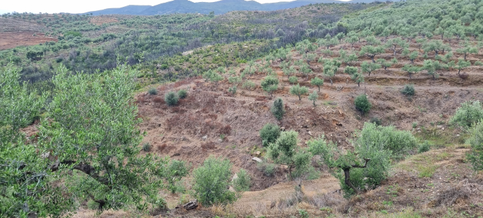 Image No.13-2 Bed House for sale