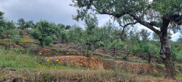 Image No.14-2 Bed House for sale