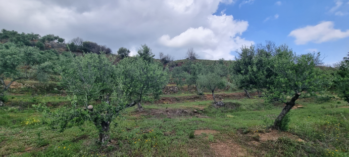 Image No.15-2 Bed House for sale