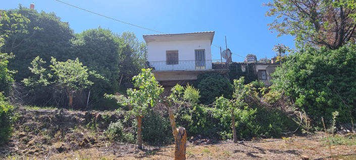 Image No.6-4 Bed House for sale