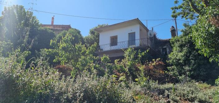 Image No.8-4 Bed House for sale