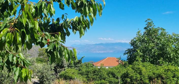 Image No.10-4 Bed House for sale