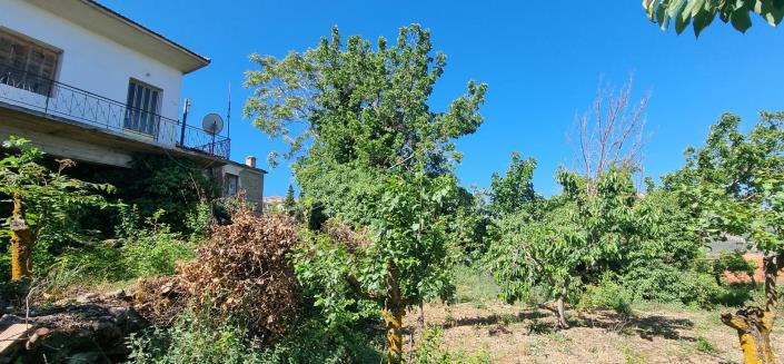 Image No.11-4 Bed House for sale