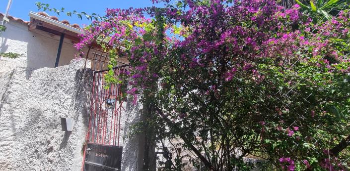 Image No.18-2 Bed House for sale