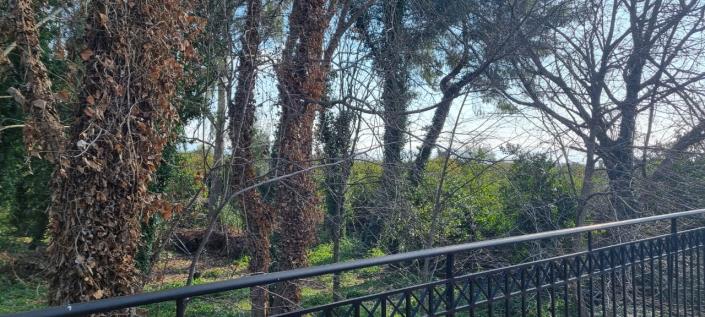 Image No.11-3 Bed House for sale