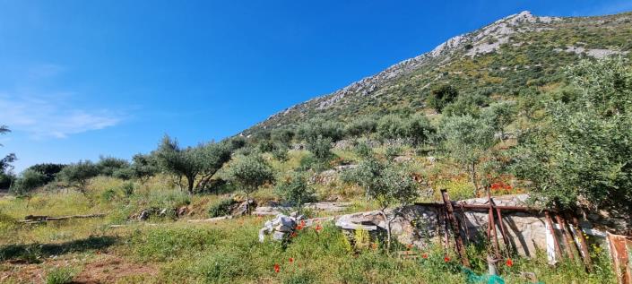 Image No.11-3 Bed House for sale