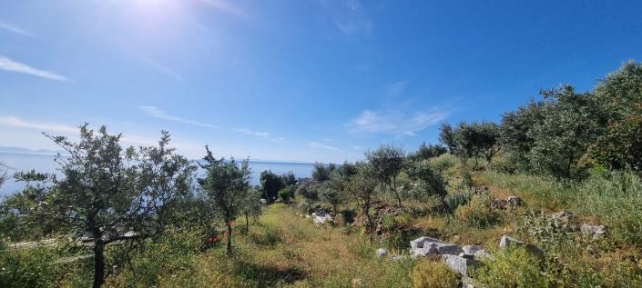 Image No.13-3 Bed House for sale