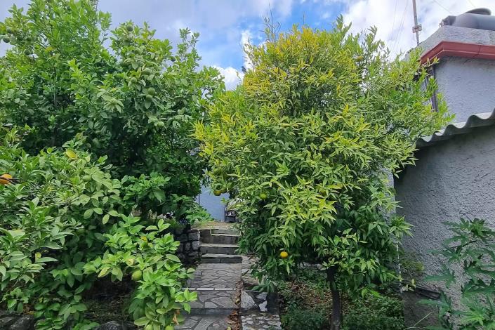 Image No.4-1 Bed House for sale