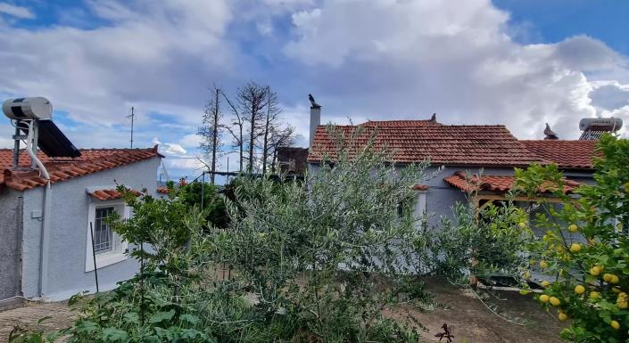 Image No.12-1 Bed House for sale