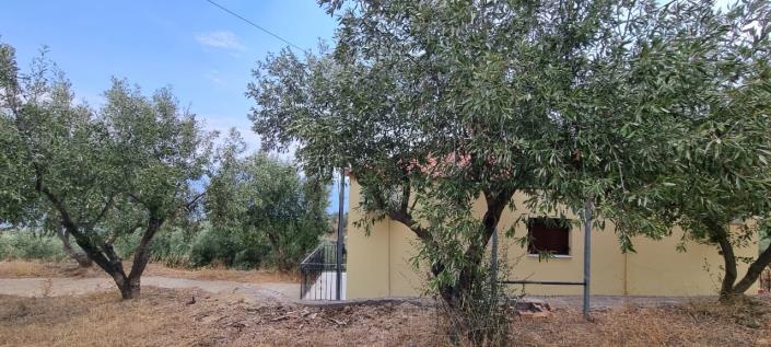 Image No.18-2 Bed House for sale