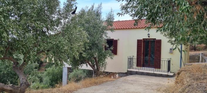 Image No.3-2 Bed House for sale