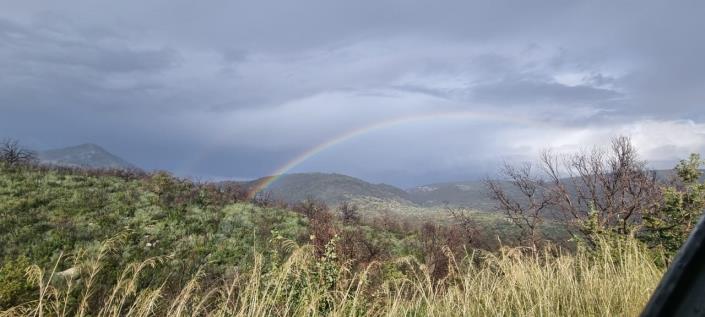 Image No.9-1 Bed Farmhouse for sale