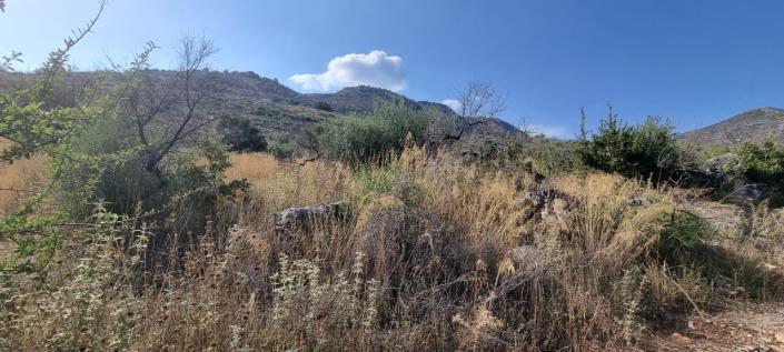 Image No.11-1 Bed Farmhouse for sale