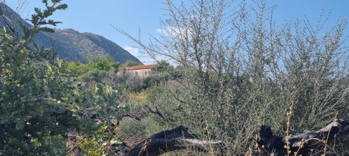 Image No.13-1 Bed Farmhouse for sale