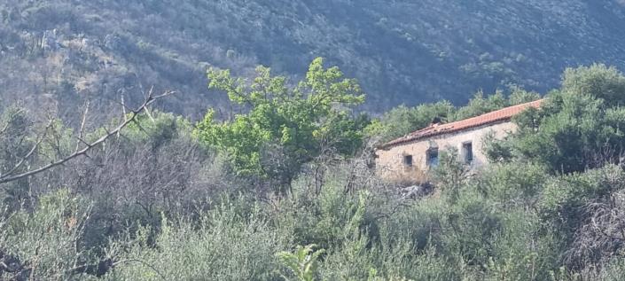 Image No.6-1 Bed Farmhouse for sale