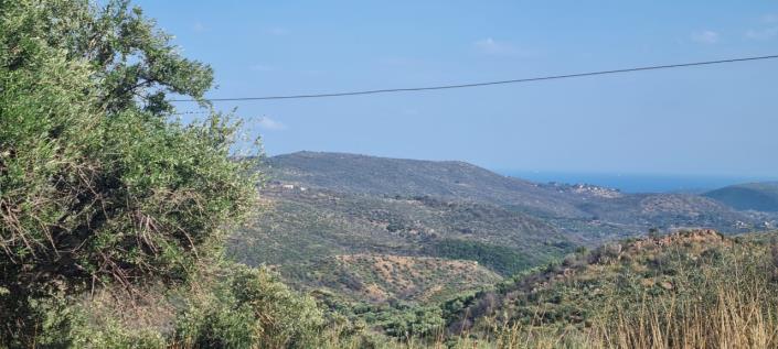 Image No.7-1 Bed Farmhouse for sale