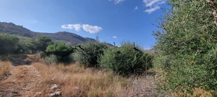 Image No.14-1 Bed Farmhouse for sale