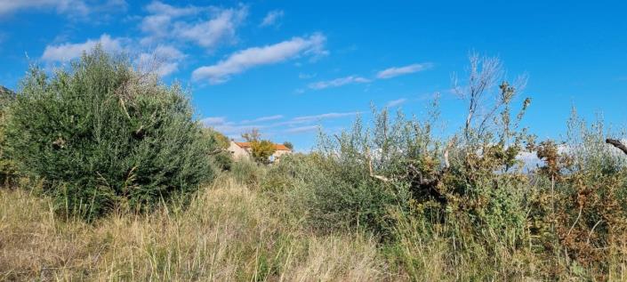 Image No.3-1 Bed Farmhouse for sale