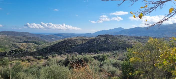 Image No.4-1 Bed Farmhouse for sale