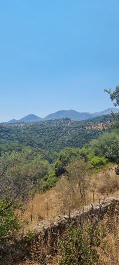 Image No.3-2 Bed House for sale