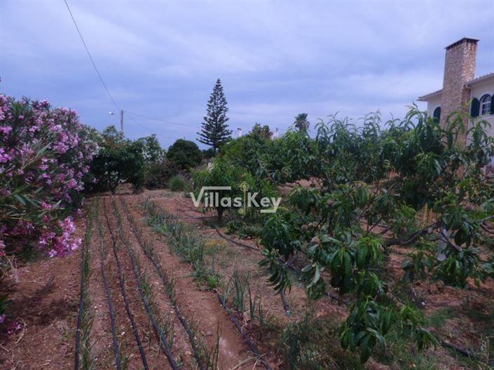 Image No.3-3 Bed House for sale