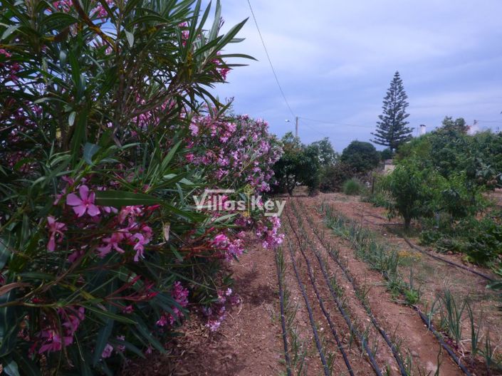 Image No.7-3 Bed House for sale